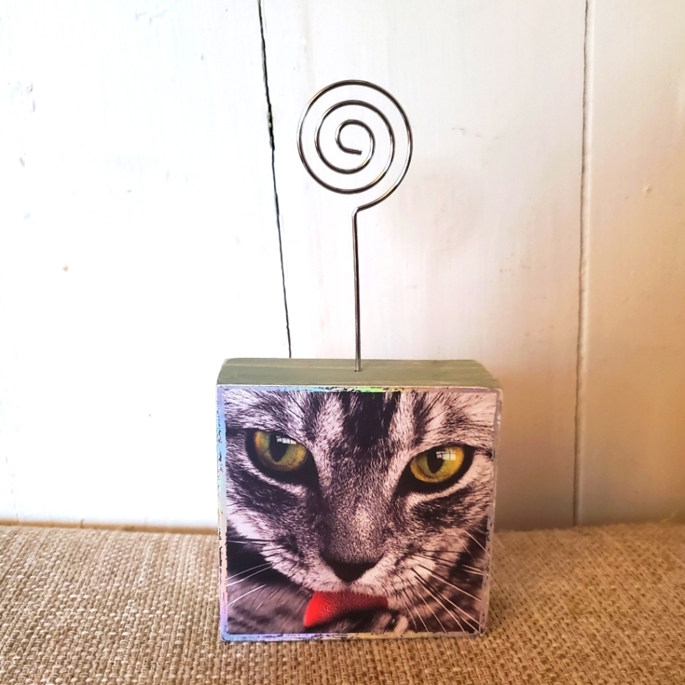 🌻5/25🌻 Cat Photo Holder with Spiral Clip